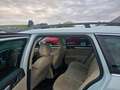 Skoda Superb Combi 2.0 TDI Outdoor 4x4 PANO STAND Blanc - thumbnail 6