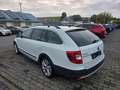 Skoda Superb Combi 2.0 TDI Outdoor 4x4 PANO STAND Blanc - thumbnail 4