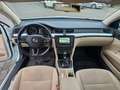 Skoda Superb Combi 2.0 TDI Outdoor 4x4 PANO STAND Blanc - thumbnail 11
