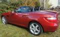 Mercedes-Benz SLK 200 SLK 200 BlueEfficience TOP Memory Garantie TÜV Rot - thumbnail 6