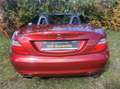 Mercedes-Benz SLK 200 SLK 200 BlueEfficience TOP Memory Garantie TÜV Rot - thumbnail 8