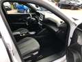 Peugeot 2008 Allure PureTech 130 EAT8 Weiß - thumbnail 28
