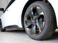 CUPRA Born Edition Dynamic-60 kWh Weiß - thumbnail 5
