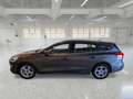 Ford Focus WAGON 1.5 Ecoblue 120cv Business AUTOCARRO - thumbnail 5