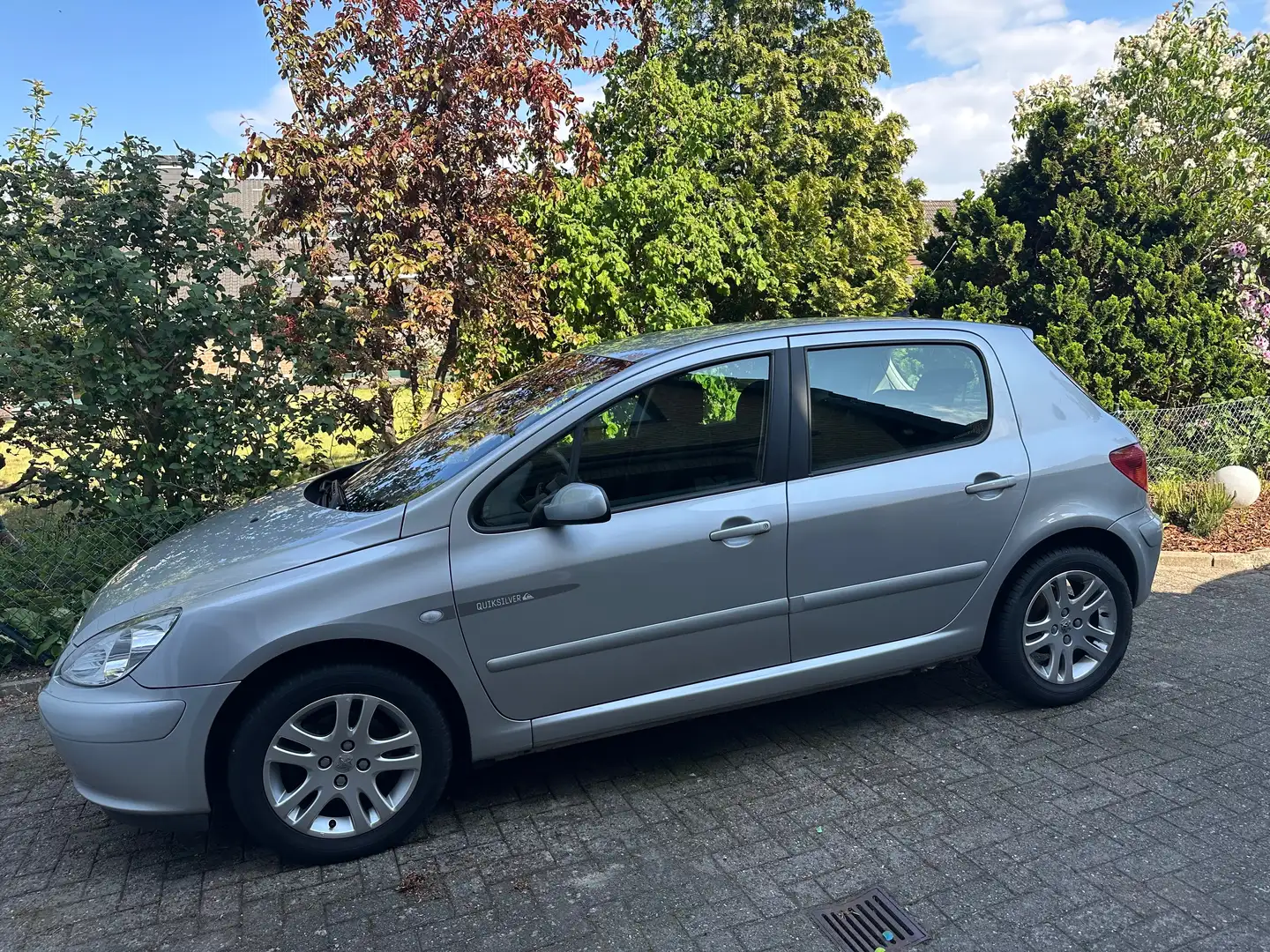 Peugeot 307 307 SW 110 Quiksilver Серебристый - 1