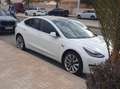 Tesla Model 3 Model 3 Standard RWD Plus Blanco - thumbnail 3