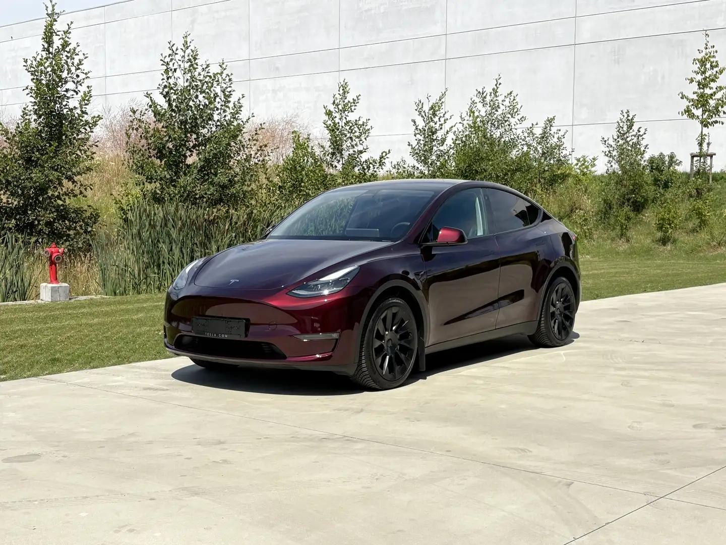 Tesla Model Y Model Y Long Range AWD 20" Pano Cherry Red Rood - 1