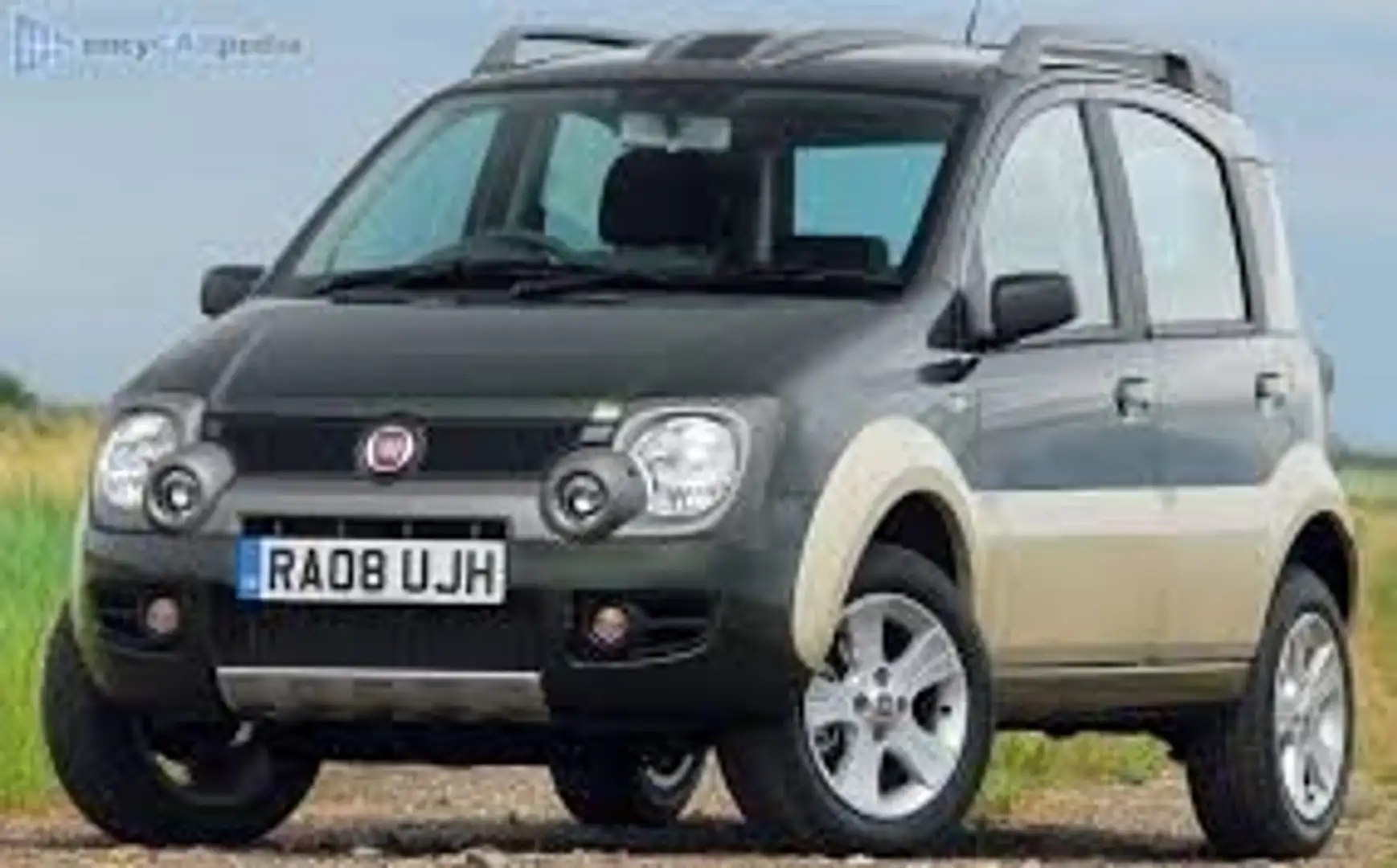 Fiat Panda II 2003 1.3 mjt 16v Cross 4x4 ***TETTO PANO*** Noir - 2