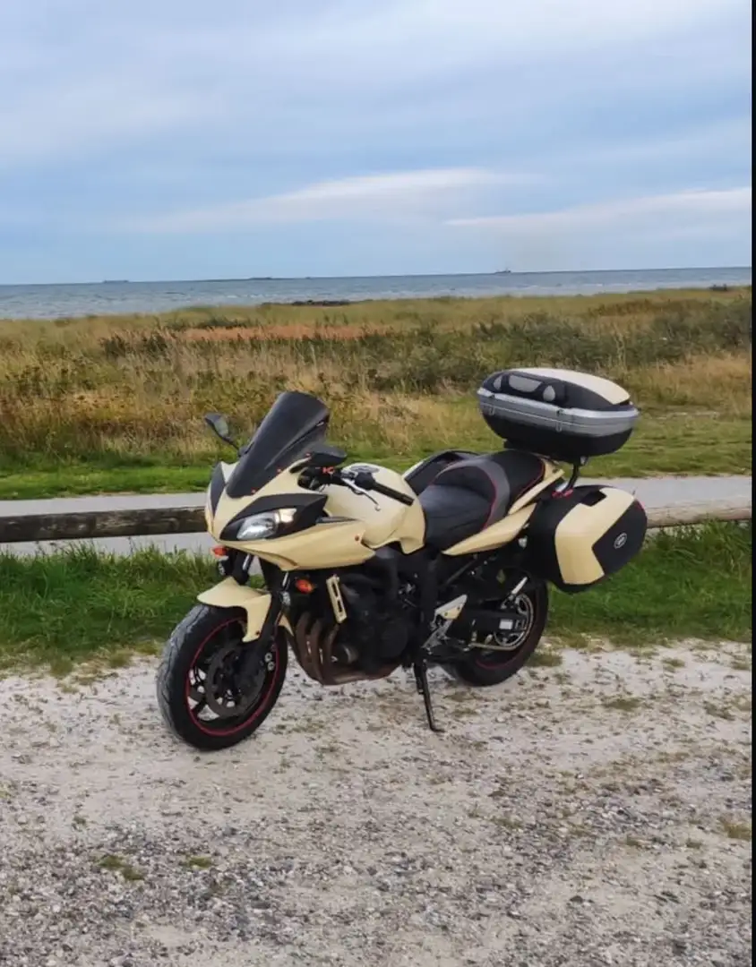 Yamaha FZ 6 Fazer S2 Beige - 2