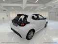 Toyota Yaris 1.5 Hybrid 5p. Business Bianco - thumbnail 2