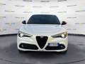 Alfa Romeo Stelvio 2.2 Turbodiesel 210 CV AT8 Q4 Veloce Tì Blanc - thumbnail 2