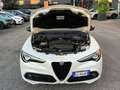 Alfa Romeo Stelvio 2.2 Turbodiesel 210 CV AT8 Q4 Veloce Tì Blanc - thumbnail 24