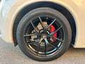 Alfa Romeo Stelvio 2.2 Turbodiesel 210 CV AT8 Q4 Veloce Tì Blanc - thumbnail 17