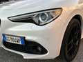 Alfa Romeo Stelvio 2.2 Turbodiesel 210 CV AT8 Q4 Veloce Tì Blanc - thumbnail 23