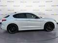 Alfa Romeo Stelvio 2.2 Turbodiesel 210 CV AT8 Q4 Veloce Tì Blanc - thumbnail 4