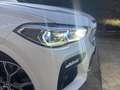 BMW X6 X6 xDrive 30dA xLine xLine Blanco - thumbnail 10