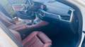 BMW X6 X6 xDrive 30dA xLine xLine Blanco - thumbnail 14