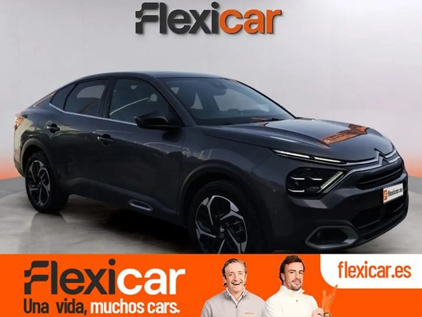 Citroen C4 X BlueHDi+130+S%26S+EAT8+Max Gris - 1