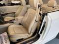 BMW 320 Serie 3 E93 Cabrio 320i Cabrio Eletta 170cv Bianco - thumbnail 10