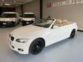 BMW 320 Serie 3 E93 Cabrio 320i Cabrio Eletta 170cv Bianco - thumbnail 3