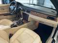 BMW 320 Serie 3 E93 Cabrio 320i Cabrio Eletta 170cv Bianco - thumbnail 11