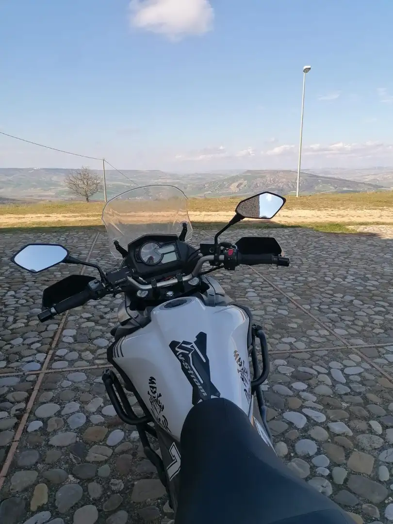Suzuki V-Strom 650 XT V-Strom 650 XT  ABS Bianco - 2