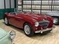 Austin-Healey 100 M Les Mans equipment BN1 MILLE MIGLIA Rot - thumbnail 4
