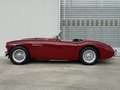 Austin-Healey 100 M Les Mans equipment BN1 MILLE MIGLIA Rot - thumbnail 3