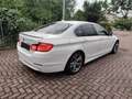 BMW 530 3.0 tdi Bianco - thumbnail 8