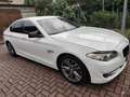 BMW 530 3.0 tdi Bianco - thumbnail 7