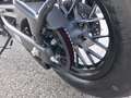 CFMOTO CF Moto 450 CL-C Bobber !!! HERBSTSALE !!! - thumbnail 12