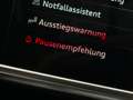 Audi A6 Avant Design 45 TDI 3.0 V6 Quattro, AHK, Pano, Nav Schwarz - thumbnail 29