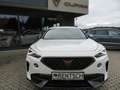 CUPRA Formentor 1.5 TSI *LED*SHZ*ACC*EPH* Blanc - thumbnail 10