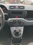 Fiat Panda Panda 1.0 firefly hybrid s&s 70cv 5posti* PROMO Arancione - thumbnail 12
