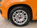 Fiat Panda Panda 1.0 firefly hybrid s&s 70cv 5posti* PROMO Arancione - thumbnail 15