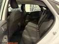 Ford Puma Puma 1.0 EcoBoost Hybrid 125 CV S&S Titanium Desi Bianco - thumbnail 7