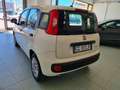 Fiat Panda 1.0 FireFly S&S Hybrid Bianco - thumbnail 6