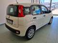 Fiat Panda 1.0 FireFly S&S Hybrid Bianco - thumbnail 9