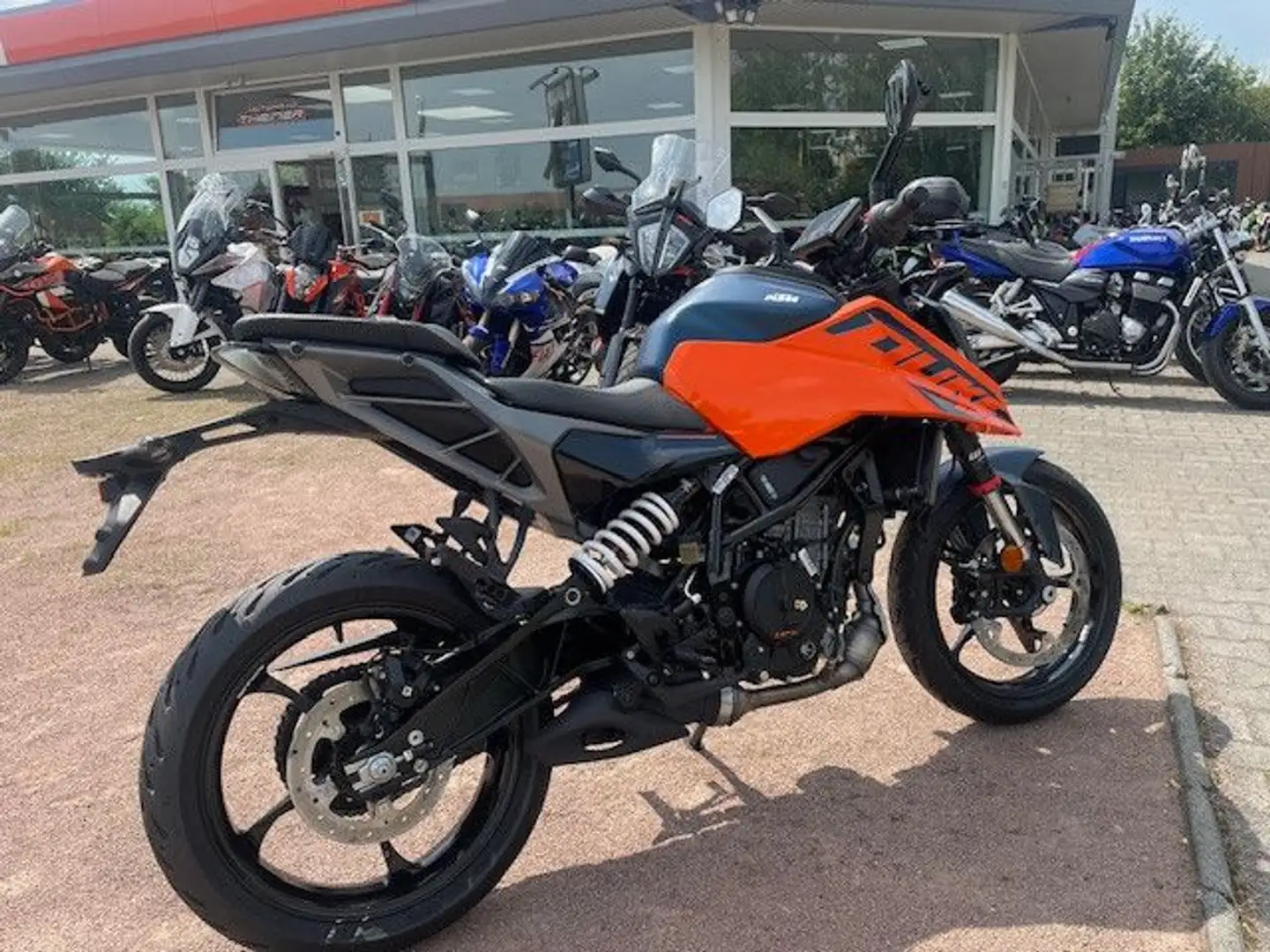 KTM 125 Duke MY24 ab 0,0% Finanzierung Albastru - 1