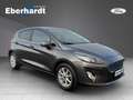 Ford Fiesta Titanium Grau - thumbnail 7