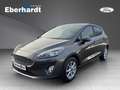 Ford Fiesta Titanium Grau - thumbnail 1