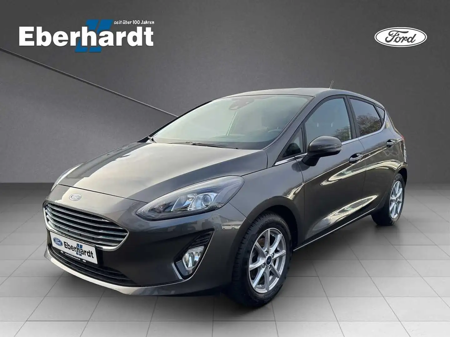 Ford Fiesta Titanium Grau - 1