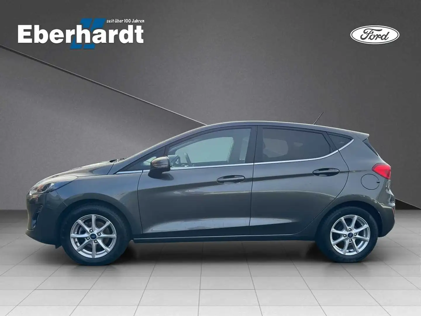 Ford Fiesta Titanium Grau - 2
