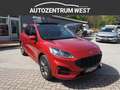 Ford Kuga 2,0 EcoBlue AWD ST-Line X Aut. ..Mod 2021 Rouge - thumbnail 4