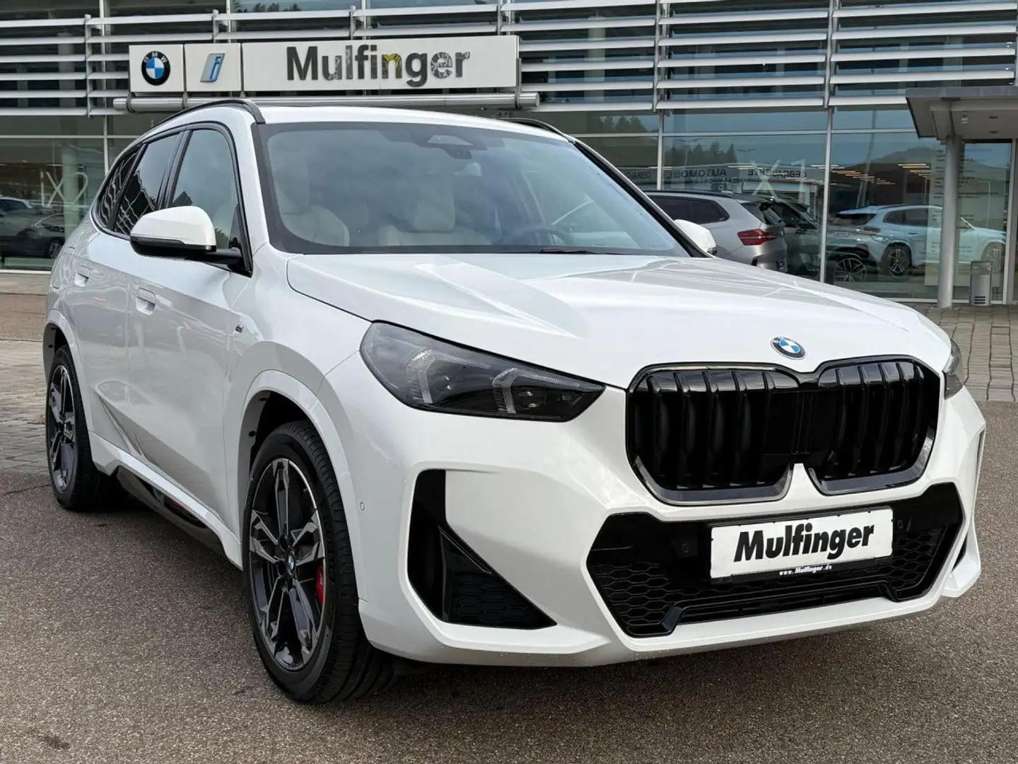BMW X1 sDrive20i M Sport Pro Pano LED AHK 19" PDC Weiß - 2
