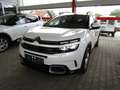 Citroen C5 Aircross Shine Weiß - thumbnail 2