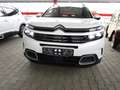 Citroen C5 Aircross Shine Weiß - thumbnail 3