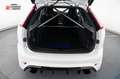 Ford Focus RS Schalensitze Miltek OZ-Felg. Sammlerfah Blanc - thumbnail 9