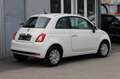 Fiat 500 Cult Hybrid+Klima+Tempomat+1.Hand Weiß - thumbnail 2