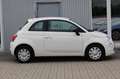 Fiat 500 Cult Hybrid+Klima+Tempomat+1.Hand Weiß - thumbnail 6